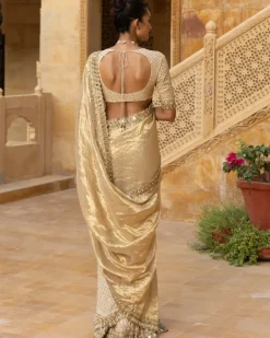 Gold Tissue & Georgette Sari Set