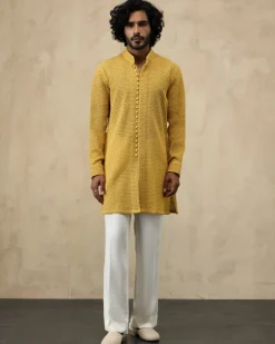 Golden Hour Jaal Luppi Button Kurta Set