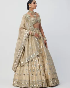 Golden Shimmer Organza Flower Lehenga Set