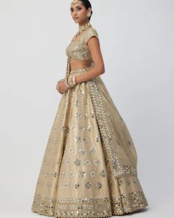 Golden Shimmer Organza Flower Lehenga Set