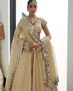 Golden Shimmer Organza Linear Lehenga Set