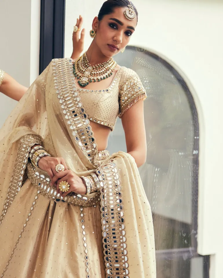 Golden Shimmer Organza Linear Lehenga Set