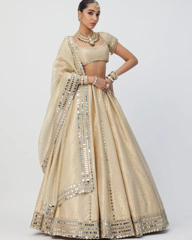Golden Shimmer Organza Linear Lehenga Set