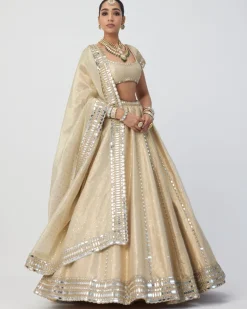 Golden Shimmer Organza Linear Lehenga Set