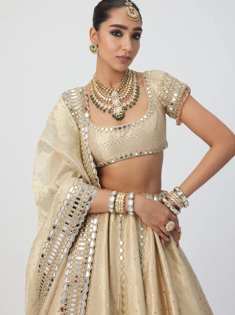 Golden Shimmer Organza Linear Lehenga Set