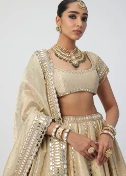 Golden Shimmer Organza Linear Lehenga Set