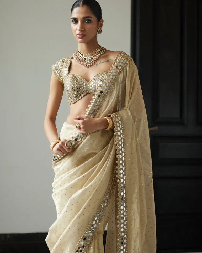 Golden Shimmer Organza Sari Set