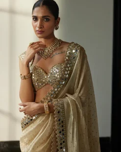 Golden Shimmer Organza Sari Set