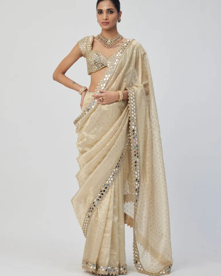 Golden Shimmer Organza Sari Set