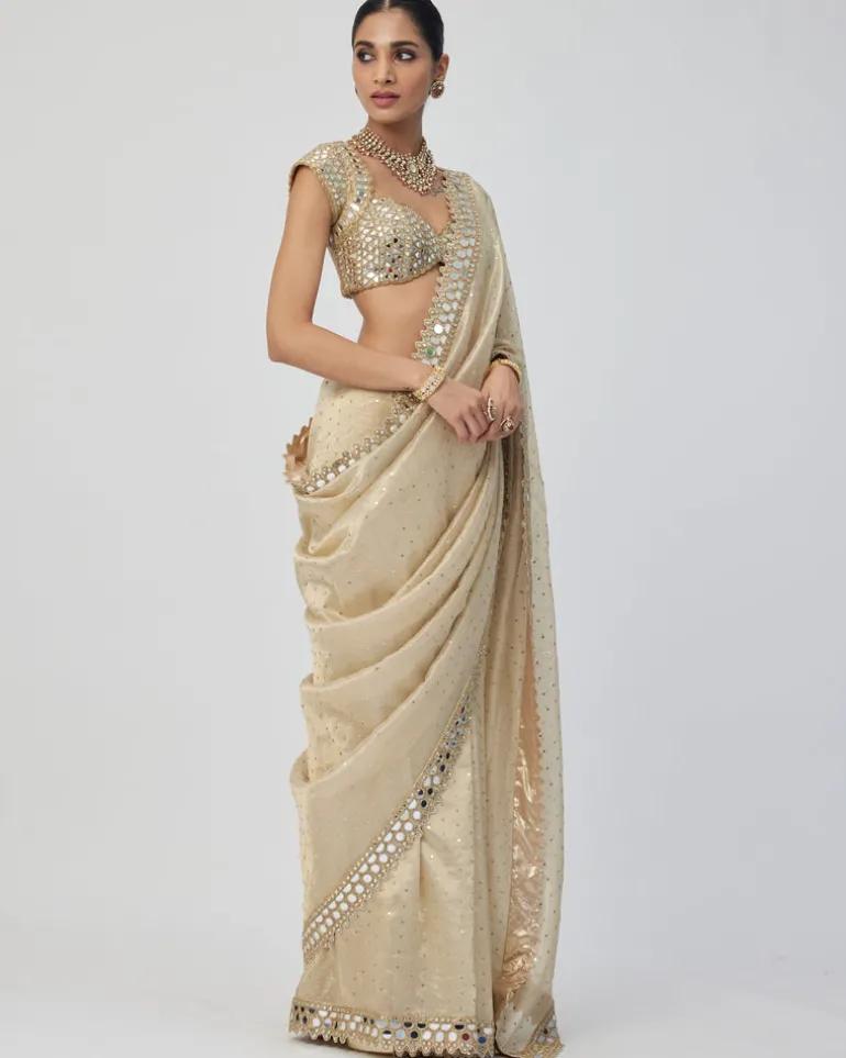 Golden Shimmer Organza Sari Set