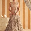 Inaara Lehenga Set