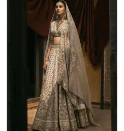 Ivory Tissue With Dabka And Gota Work Lehenga Set