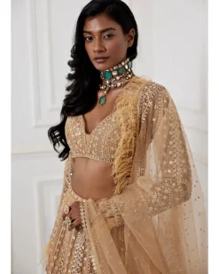 Jaya Lehenga Set