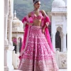 Krshnavi Lehenga Set
