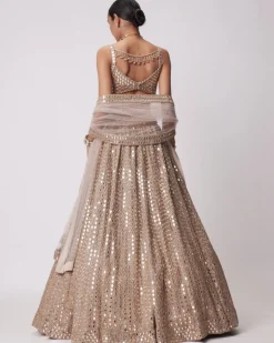 Light Beige Hand Embroidered Lehenga Set