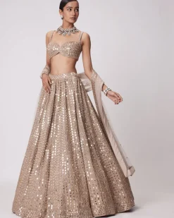 Light Beige Hand Embroidered Lehenga Set