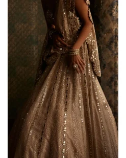Light Beige Sequin Embroidered Lehenga Set