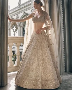 Light Gold Lehenga Set