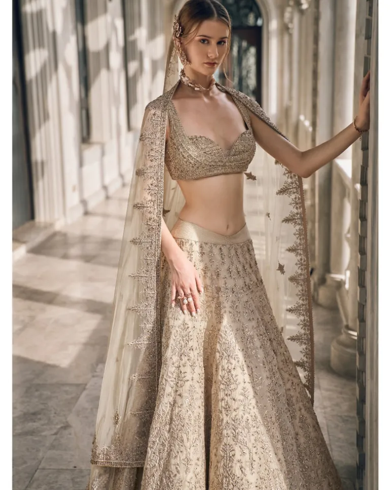 Light Gold Lehenga Set