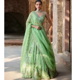 Lime Green Organza Lehenga Set