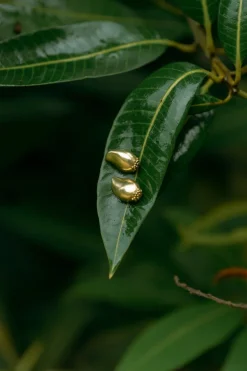 Mango Charm Studs