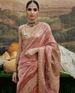 Mayur Shilp Sari Set