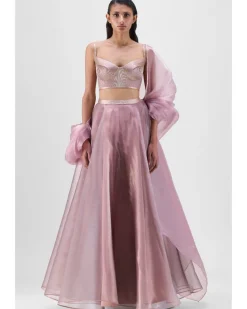 Mesh Cape And Skirt With Corded Bustier Set
