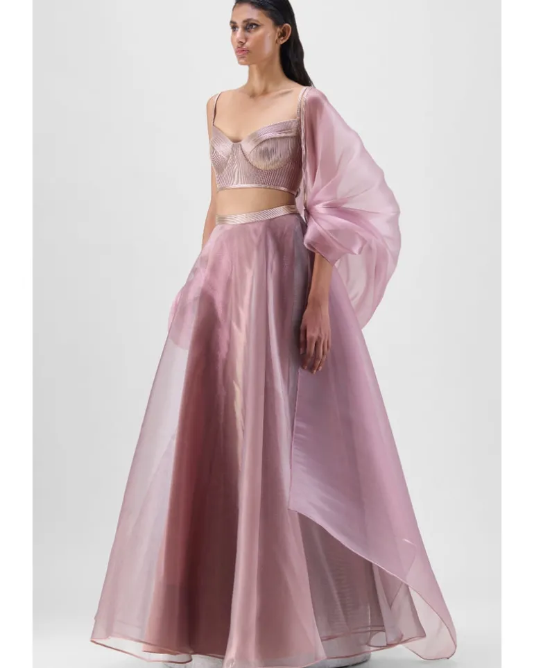Mesh Cape And Skirt With Corded Bustier Set