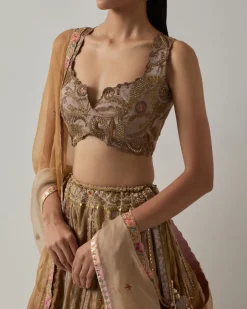 Metallic Tissue Lehenga Set