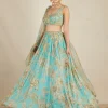 Mint Chiffon Floral Lehenga Set