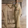 Mint Organza Dabka And Gota Work Sari Set