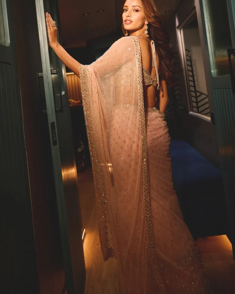 Mother Of Pearl Mirror And Sequin Sari Set