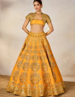 Motichur Cape Lehenga Set