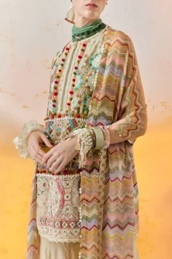Multi Mehru Embo Ikkat Dress Set