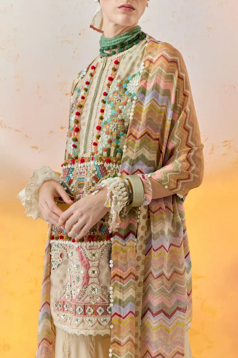 Multi Mehru Embo Ikkat Dress Set