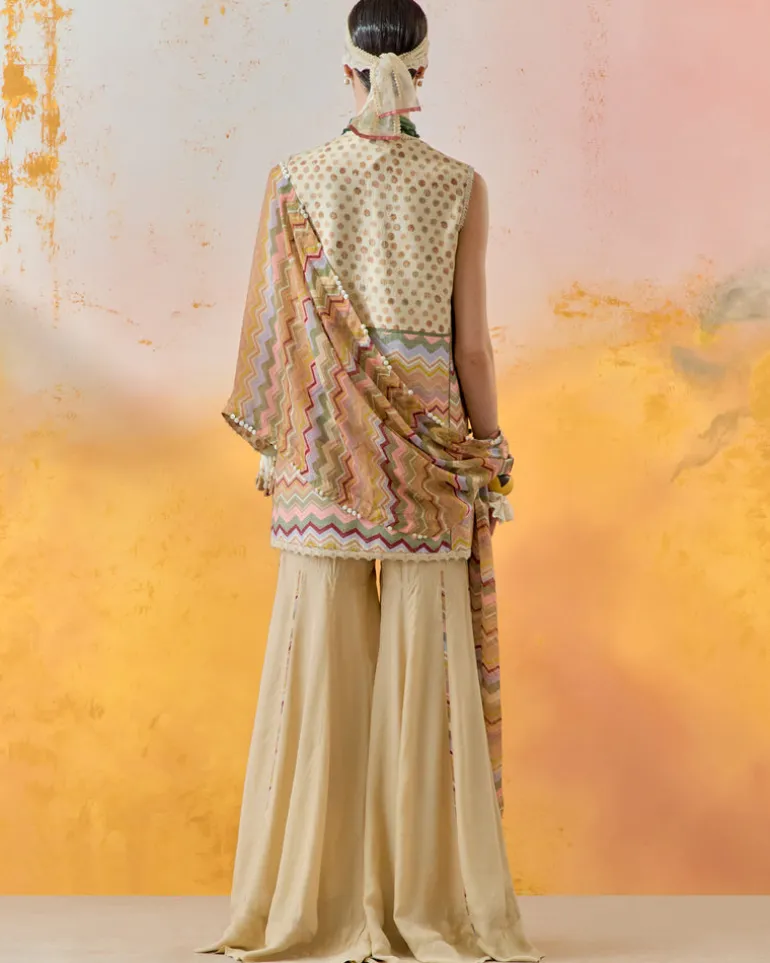 Multi Mehru Embo Ikkat Dress Set
