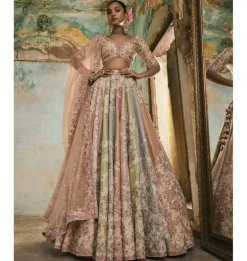 Multi-Coloured Panels Dori Work Lehenga Set