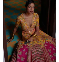 Mustard and Rani Jhorakha Lehenga Set