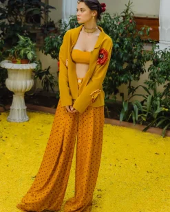 Mustard Bandhini, Bandeau and Jacket