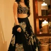 Navy Blue Silk Chanderi Hand-Painted Lehenga Set