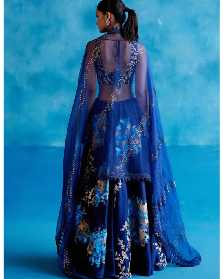 Navy Blue Silk Chanderi Hand-Painted Lehenga Set