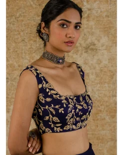 Navy Chanderi Silk Skirt Set