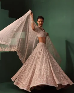 Neesa Lehenga Set