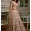 Nikolina Shimmer Tulle Bridal Lehenga Set