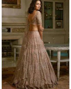 Nikolina Shimmer Tulle Bridal Lehenga Set