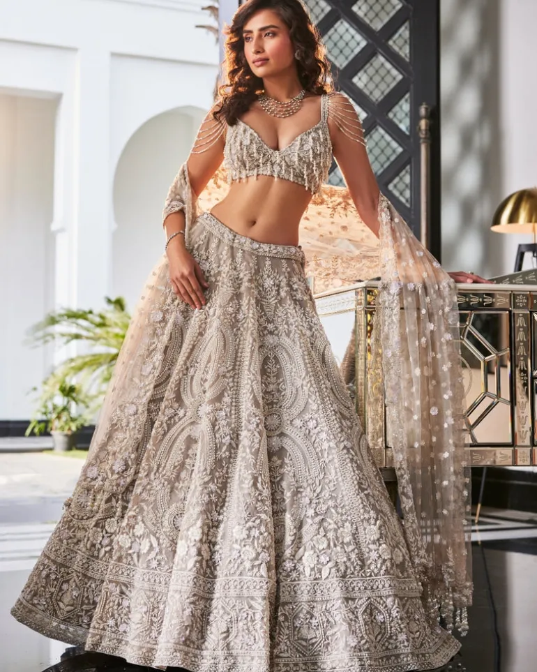 Nitya Grey Embroidered Organza Lehenga Set