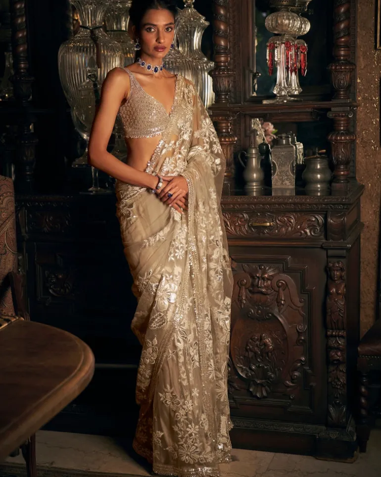 Nude Applique Sari Set