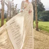 Nude Cream Stripe Sari Set