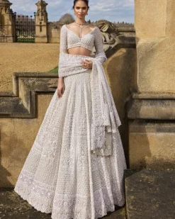 Nude Pearl With Exaggerated Tassels Lehenga Set