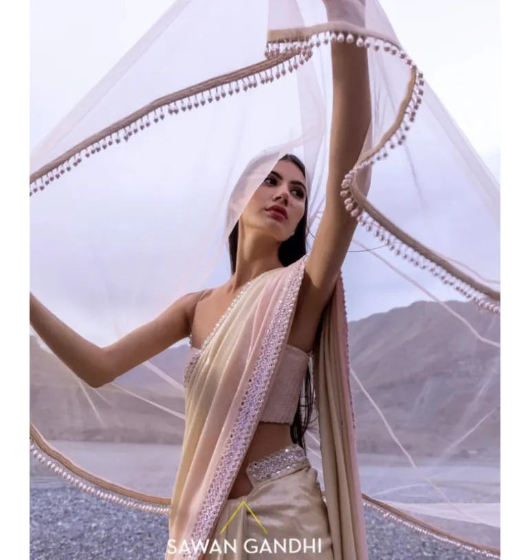 Nude Pink Paani Sequins Ombre Sari Set